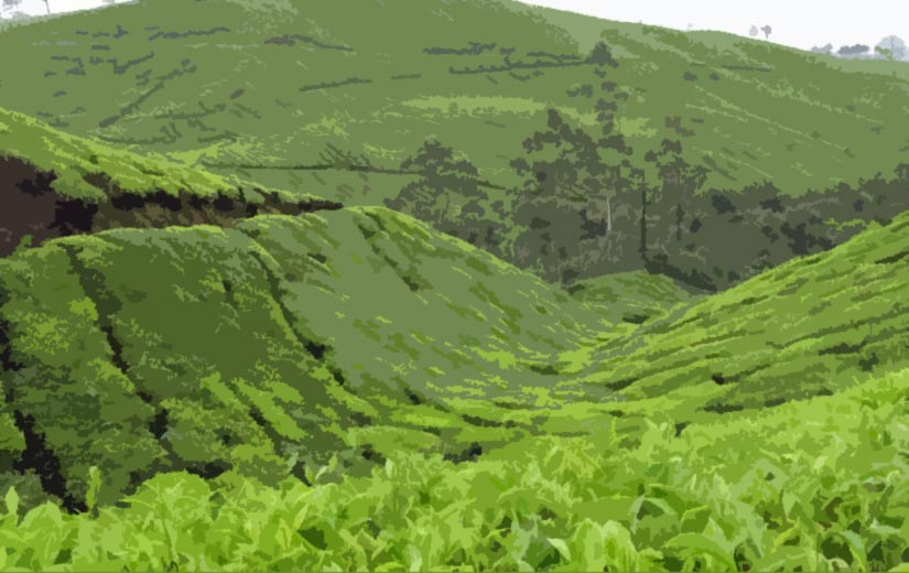 Kerala packages in January
