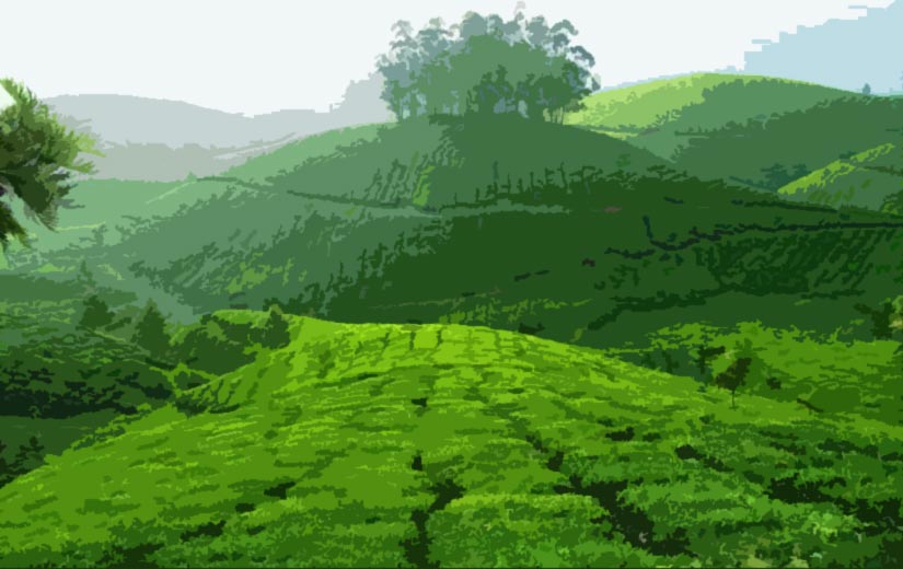 Tourist Places in Kerala for 2 days