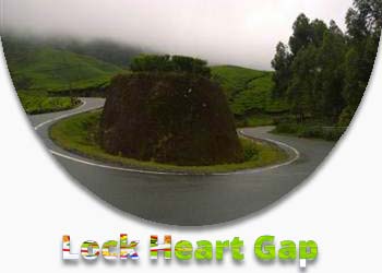 Lock Heart Gap Munnar