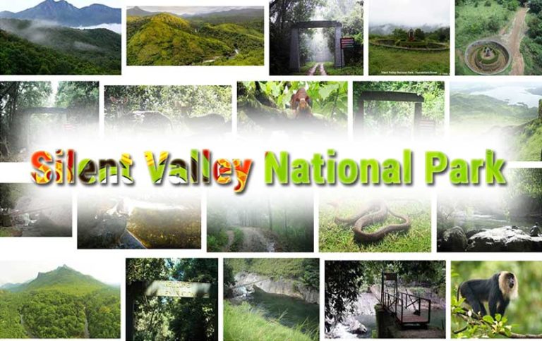 Silent Valley National Park - a popular wildlife reserve in Kerala