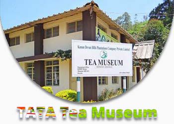 TATA Tea Museum Munnar