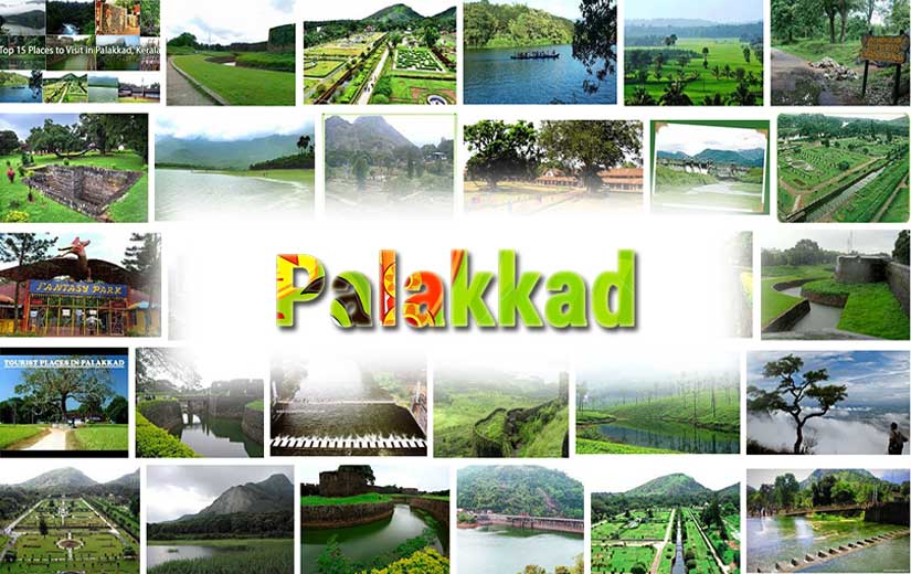 Palakkad