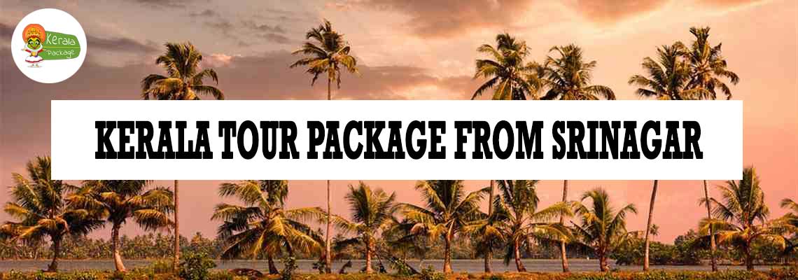 Kerala tour package from Srinagar