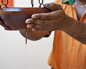 Kerala Ayurveda and Wellness Retreat