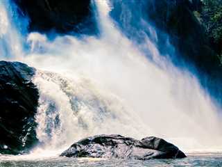 Athirapally Waterfalls Excursion